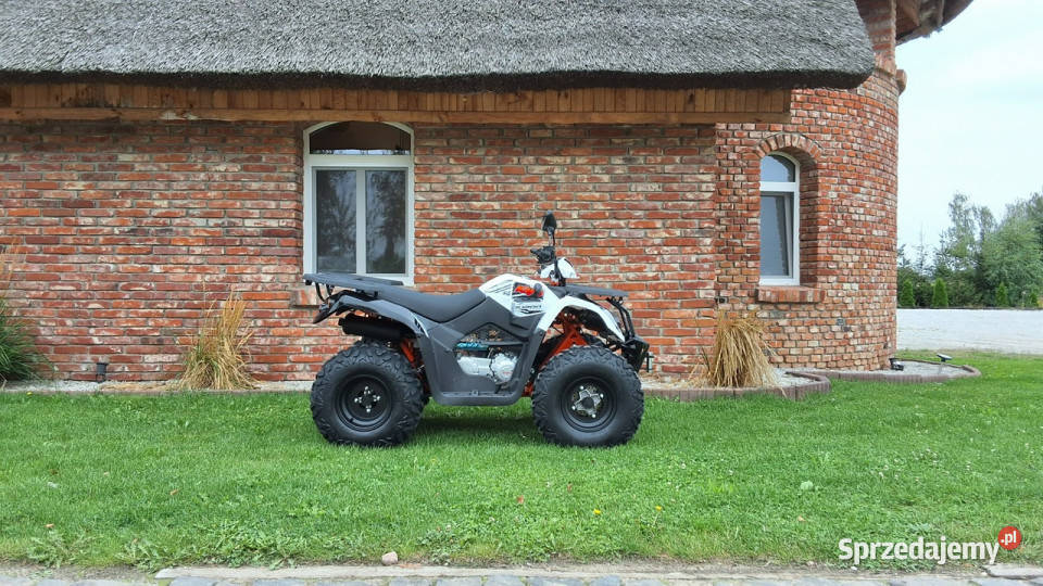 KAYO AU SALON MOTOCYKLOWY MOTOEAGLES Kayo AU 200 bagażnik Motocykle, skutery, quady Bicz sprzedam