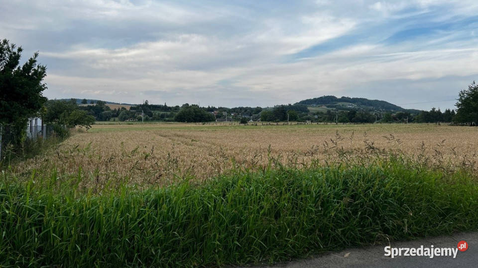 Działka z lasem w pobliżu Beskidy Sprzedaż Goleszów