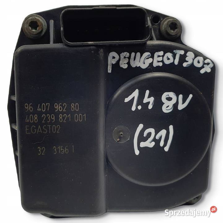 PRZEPUSTNICA Peugeot 307 14 8v 9640796280 Chełm