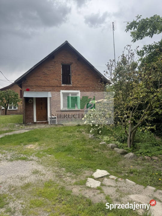 Jelna urokliwe siedlisko z potencjałem