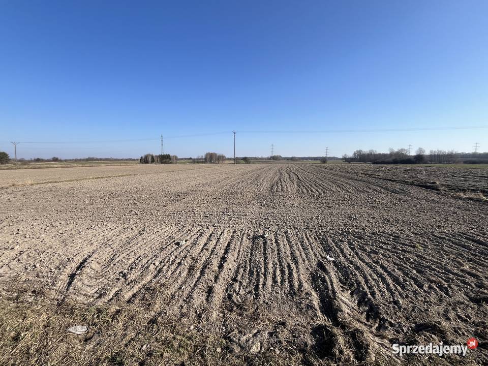 Działka SzpicaZawadów 056 ha