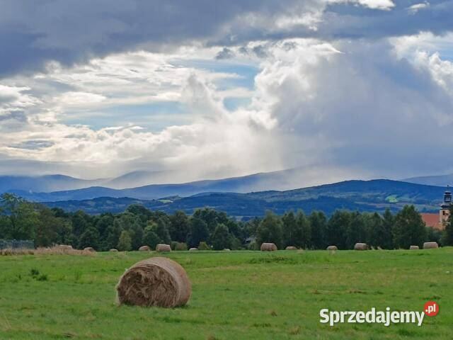 Grunt do sprzedania 1341m2 Grudza 44.5m dolnośląskie sprzedam