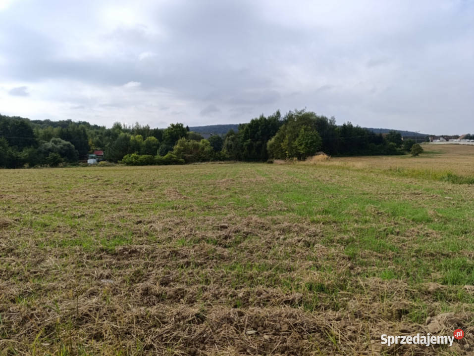 Działka zagrodowa 30ar Janczowice gm Łagiewniki Jaźwina sprzedam