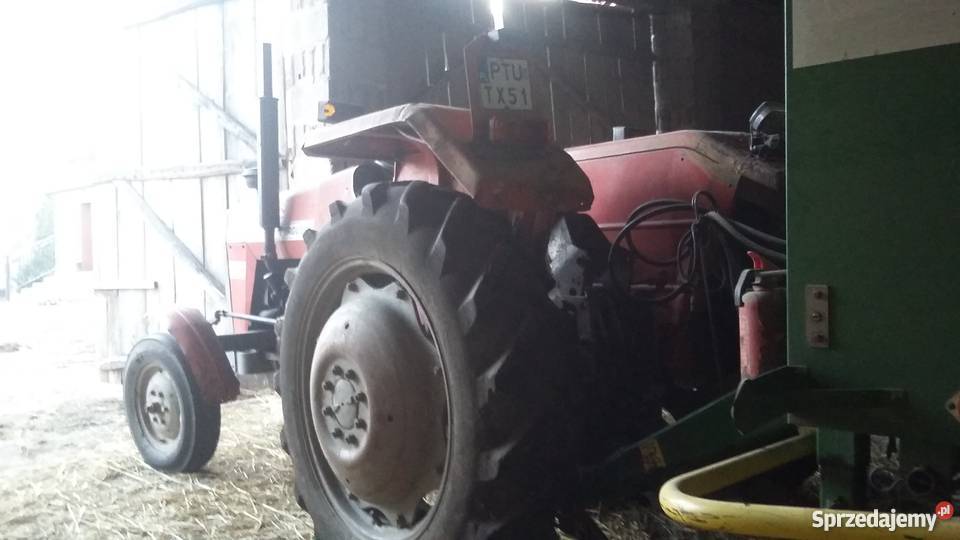 CIAGNIK MASSEY FERGUSON 255