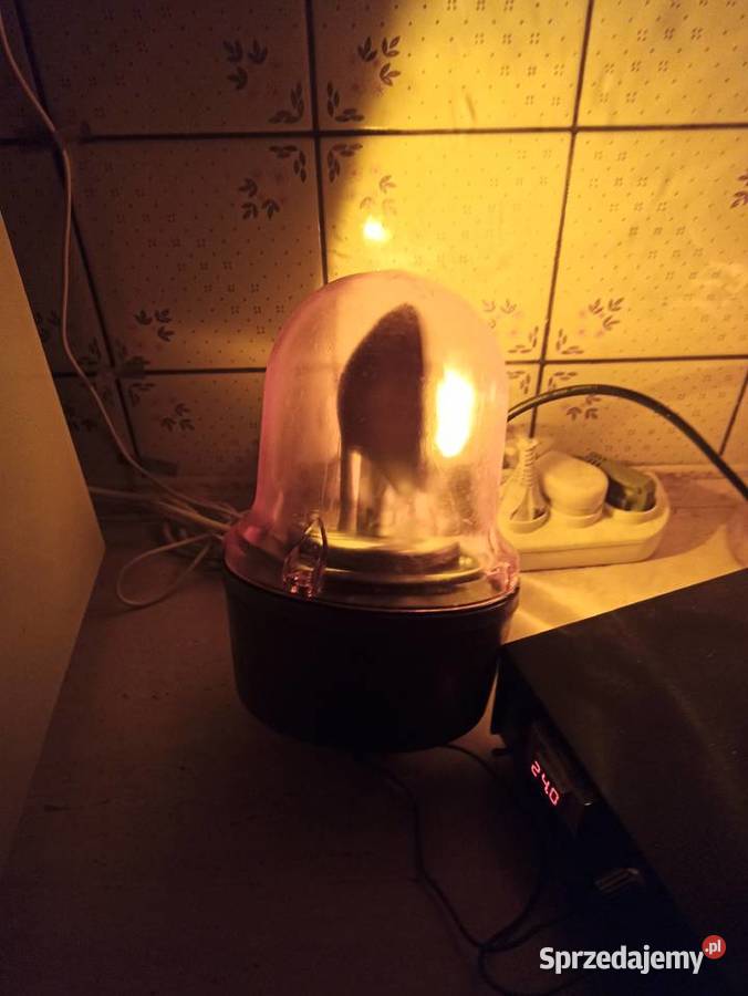 Kogut lampa Elektra LBS5 24V Stan Gorzów Wielkopolski