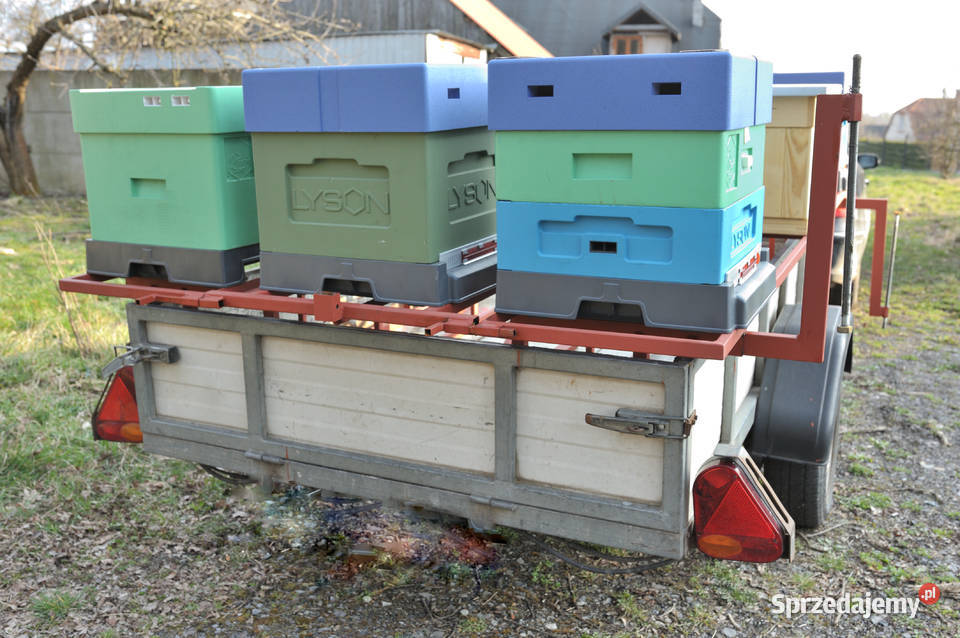 Zabudowa przyczepki platformą do przewozu uli Odrowąż