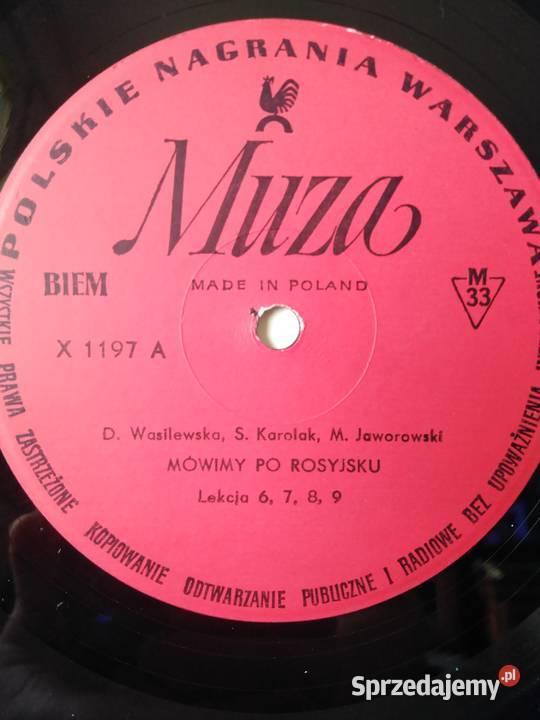 Płyta winylowa mówimy rosyjsku 1980 Płyty i kasety Wałbrzych