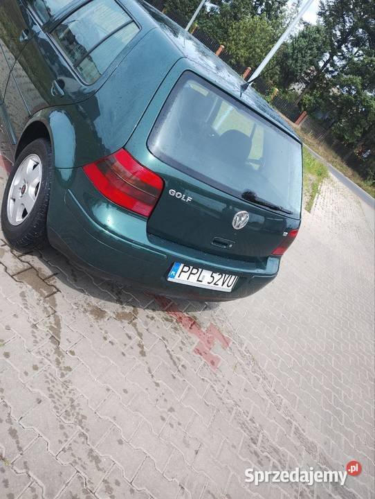 VW Golf 4 18 223 18 lat w rodzinie nieuszkodzony wielkopolskie Jarocin