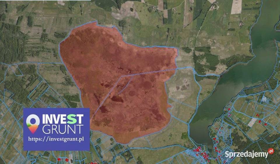 5278 przetarg na dzierżawę gruntów rolnych Cierzpięty