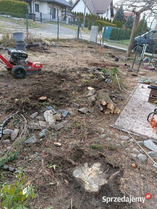 Wycinka drzew frezowanie pni karczowanie działek Bielsko-Biała
