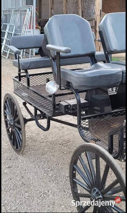 Na sprzedaż duża kolekcja zabytkowych powozów Kraków