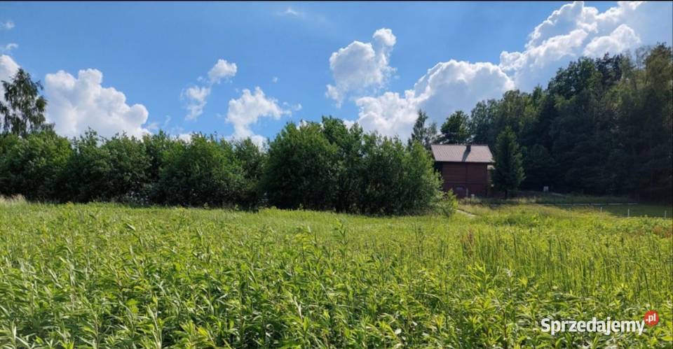 Rożnów działka budowlana inwestycyjna Jezioro