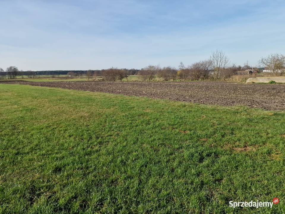 Działki rolne klasy IVV Biskupice gm Grodziec rolna Biskupie sprzedam