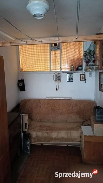 2pok 37met Ogrodu Botanicznego WINDA ZARAZ Wrocław