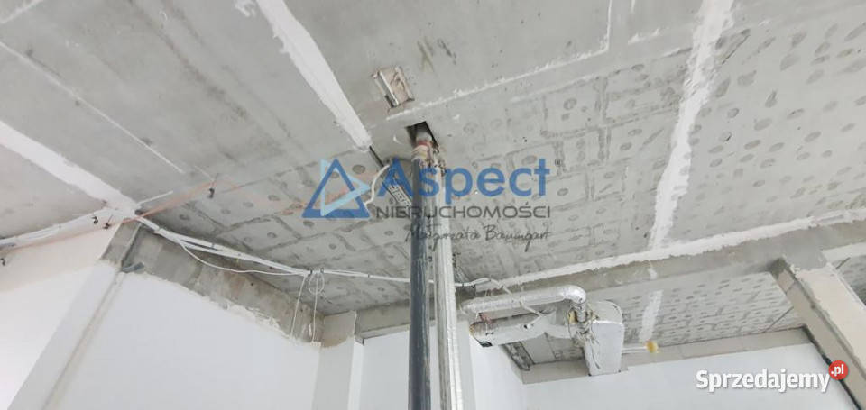 Lokal Szczecin 126 metrów 126m2 Wynajem