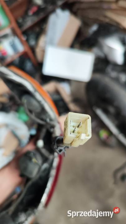 lampa tył honda cbf 500 600 1000 2004 2005 2006 Oświetlenie