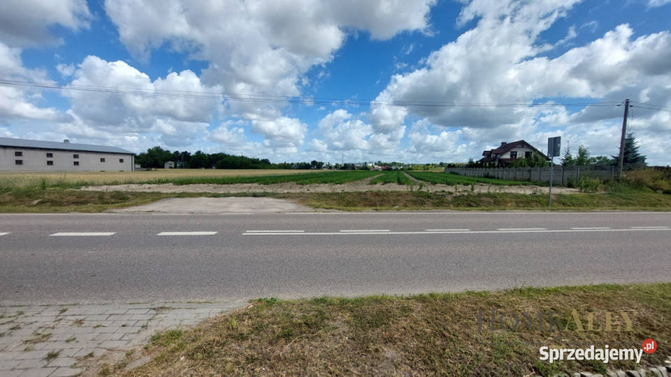 Działka 9113m2 Zakroczym Sprzedaż sprzedam