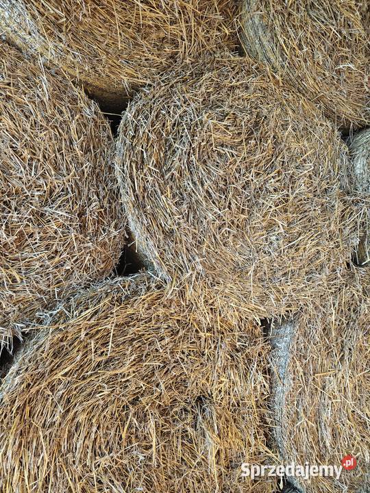 Słoma spod dachu Pozostałe sprzedam
