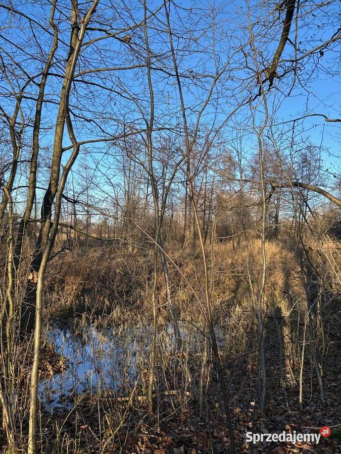 Syndyk sprzeda nieruchomość gruntową Targówka