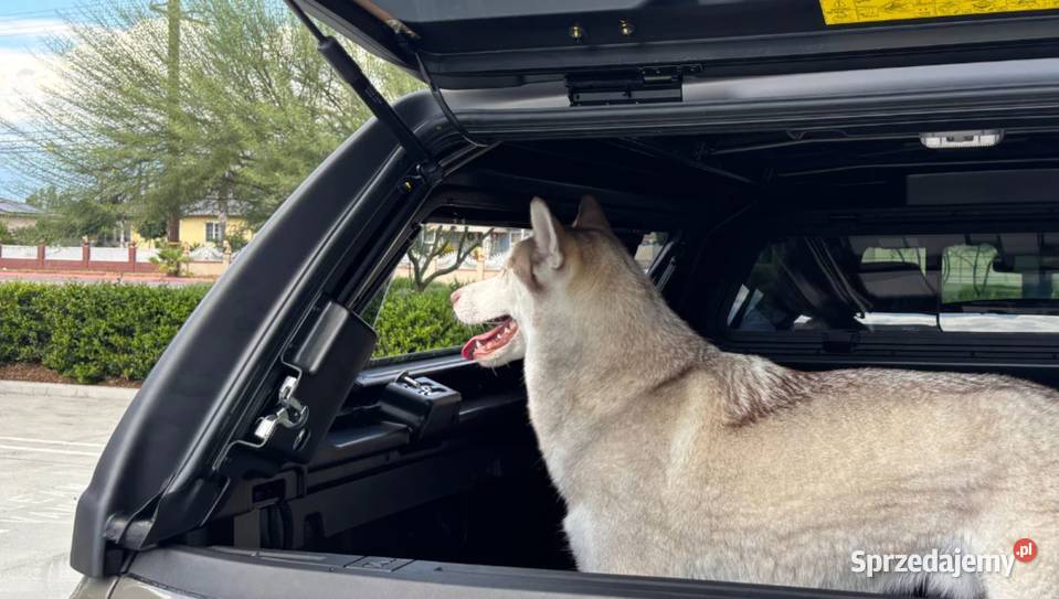 Szyba Boczna PSA Okienko Przesuwne do Zabudowy