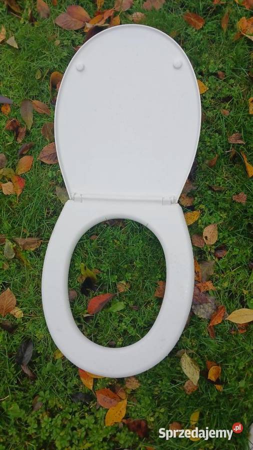 Muszla klozetowaspluczka i deska Pozostałe Chełm