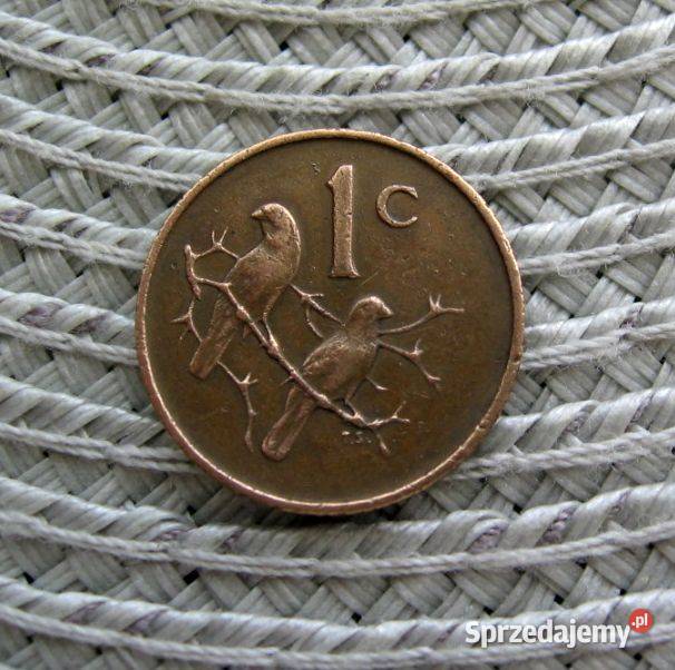 RPA 1 Cent 1966r Napisy Angielskie Numizmatyka Kalisz