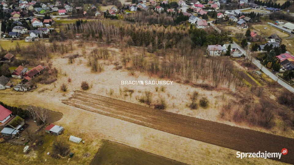 Grunt 7000m2 Wołowice sprzedam