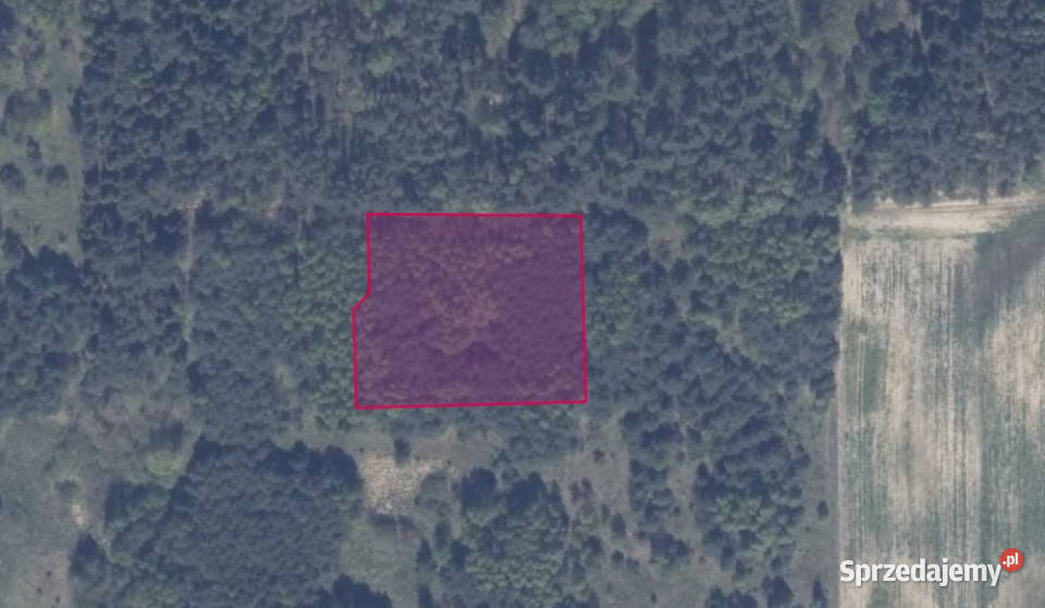 Działka 8613 w Granicznej Wsi Graniczna Wieś