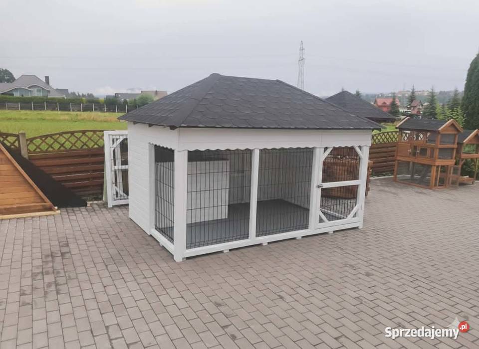 Kojec psa małopolskie Jordanów