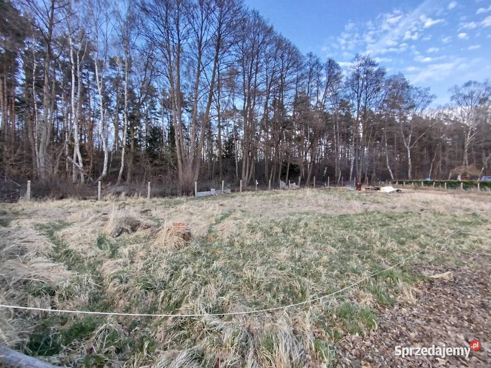Sprzedam przepiękną działkę pod lasem Sprzedaż Goleniów