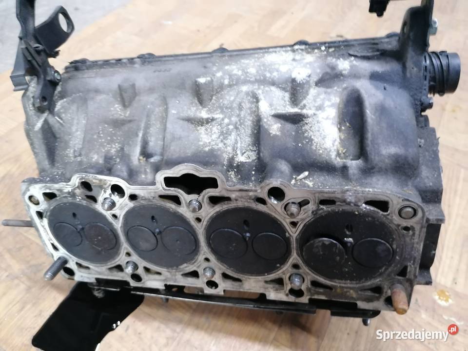 Polo okular 19 TDI Głowice cylindrów kujawsko-pomorskie