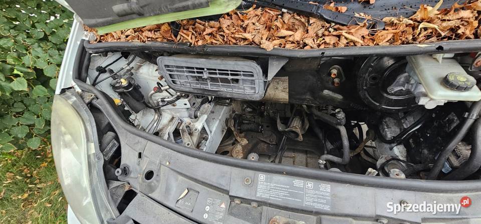 Syndyk sprzeda samochód ciężarowy Renault Trafic Miłoradz