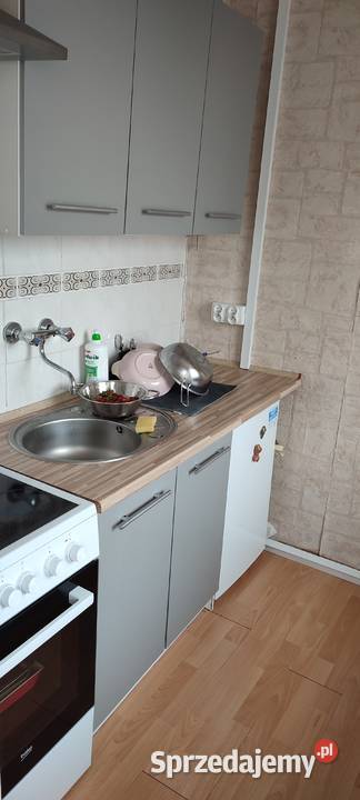 Gdansk Oliwa 304 m2 kawalerka Piętro 6 Gdańsk