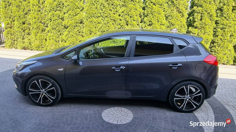 Kia Ceed Serwis Pakiet Zima Super Stan GWARANCJA elektryczne lusterka mazowieckie Płońsk