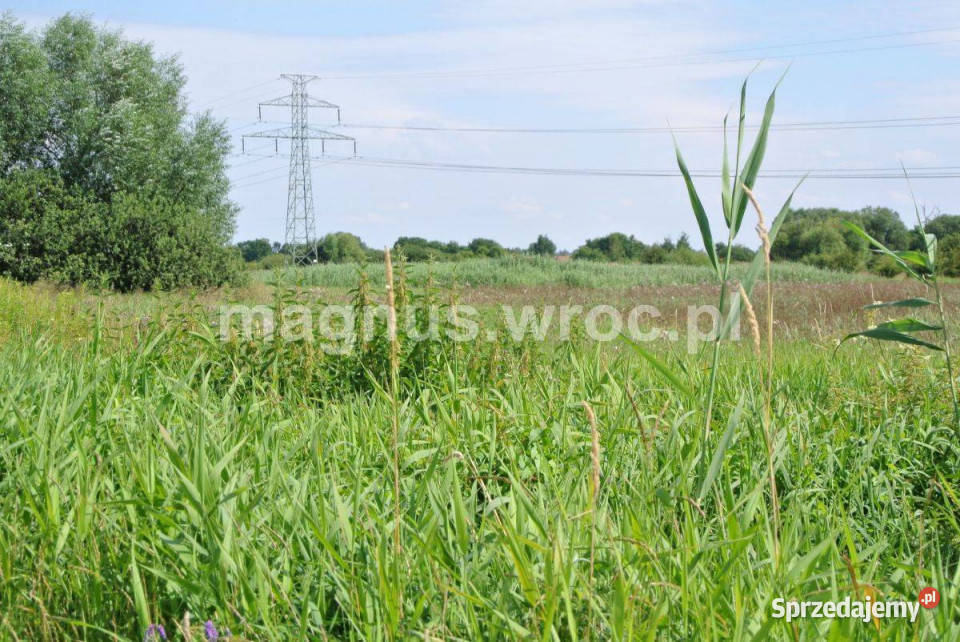 Działka rolna w sercu Wrocławia Widawą Kowale Wrocław