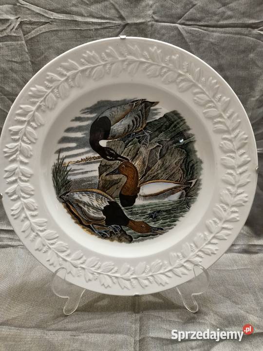 Talerz obiadowy burda America ilustra AUDUBONA Zamość