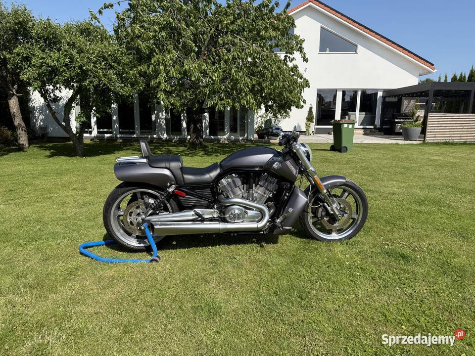 HARLEYDAVIDSON VROD MUSCLE 2014 Gorzów Wielkopolski