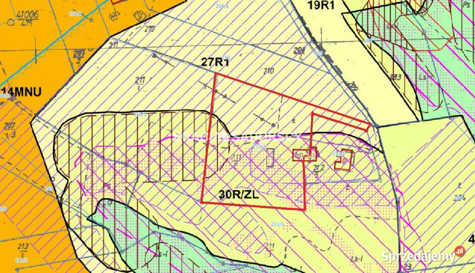 Grunt 6004m2 Dobczyce Sprzedaż
