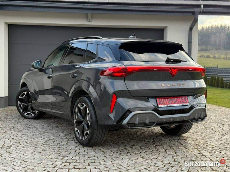 Cupra Terramar MATRIX VZ 265 SZYBER DACH przyciemniane szyby Kamienna Góra