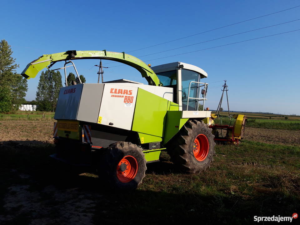 Sieczkarnia Claas Jaguar 860 Detektor metalu Samojezdne Boćki