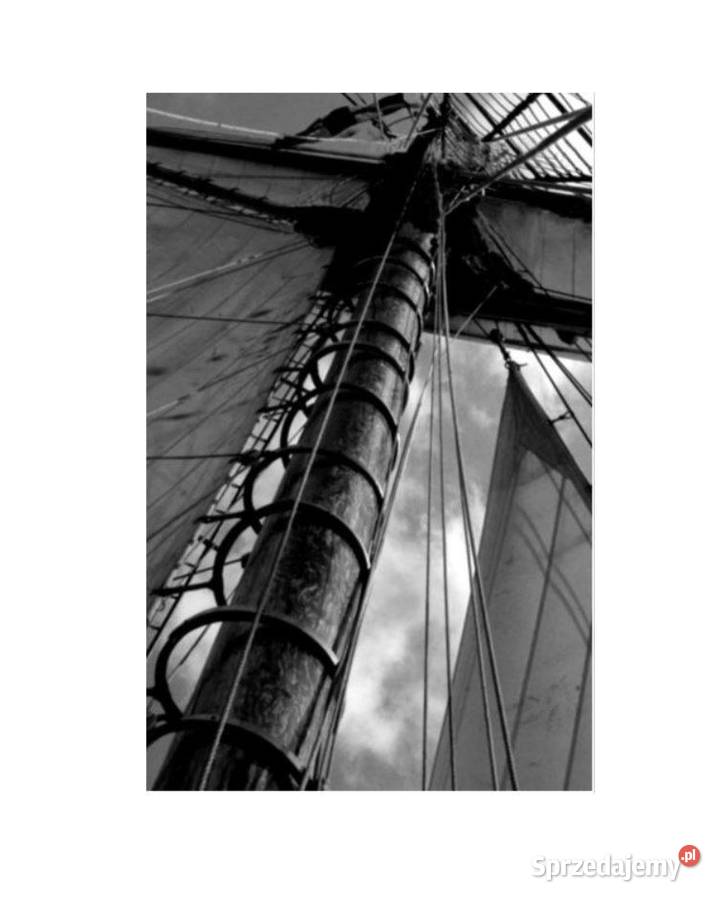 Grafika obraz na ścianę Żagiel 1200x1890 Gdynia sprzedam