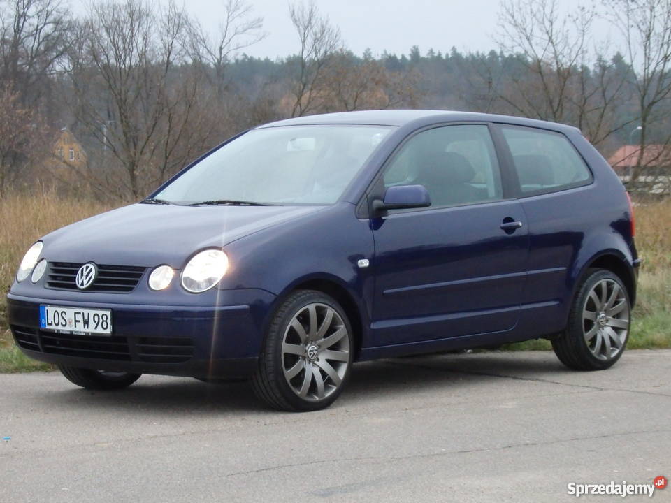 VW POLO 12 55 100Bezwypadkowy Klima Alu 17 1200cm3 Polo Polo Dobre Miasto