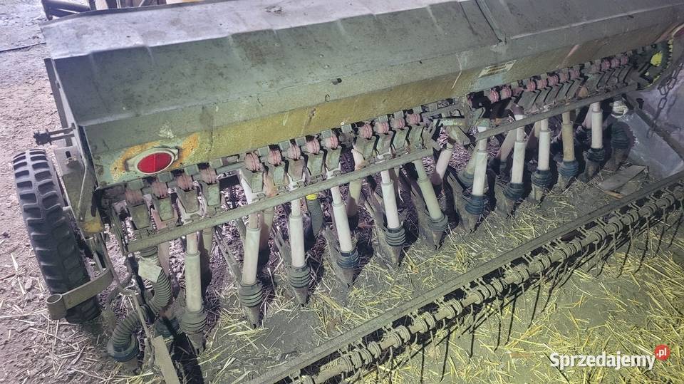 Siewnik poznaniak Lipnica