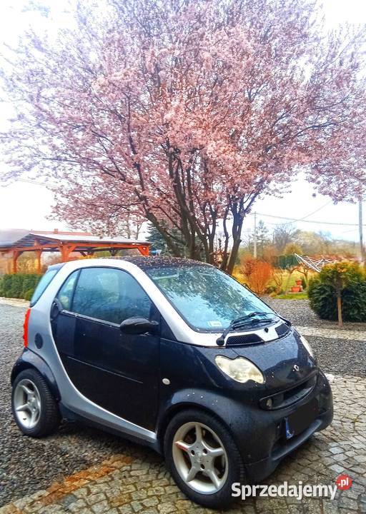 SMART fortwo 2002 6 biegowy 50 półautomatyczna dolnośląskie Dzierżoniów