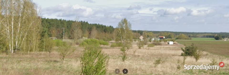 duża działka 1679 m2 Płomykowo Santok 58zł/m2 lubuskie sprzedam