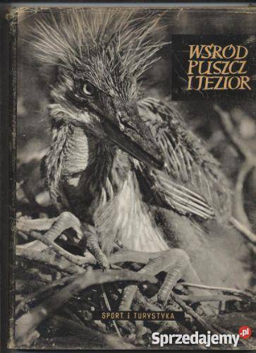 Wśród puszcz i jezior