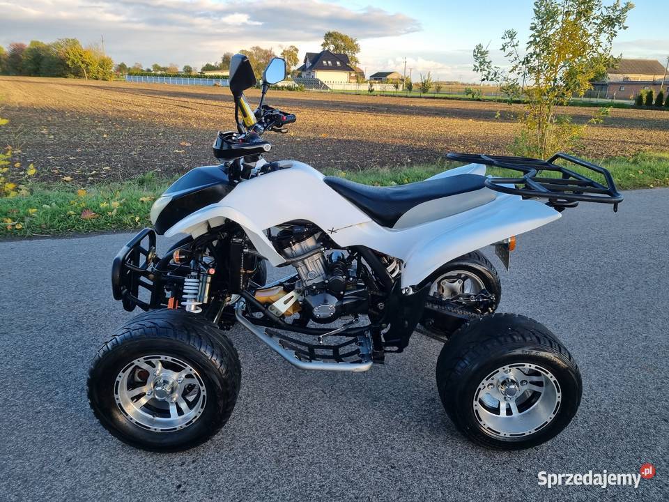 Quad Atv EGL LYDA 250cc 41r Ciecz Zarejestrowany Kruszwica