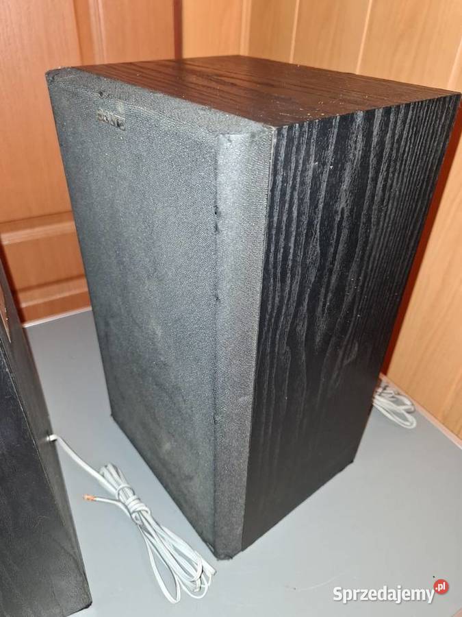 Kolumny Głośnikowe SONY SSA102 2 100 Sprawne mazowieckie Sochaczew