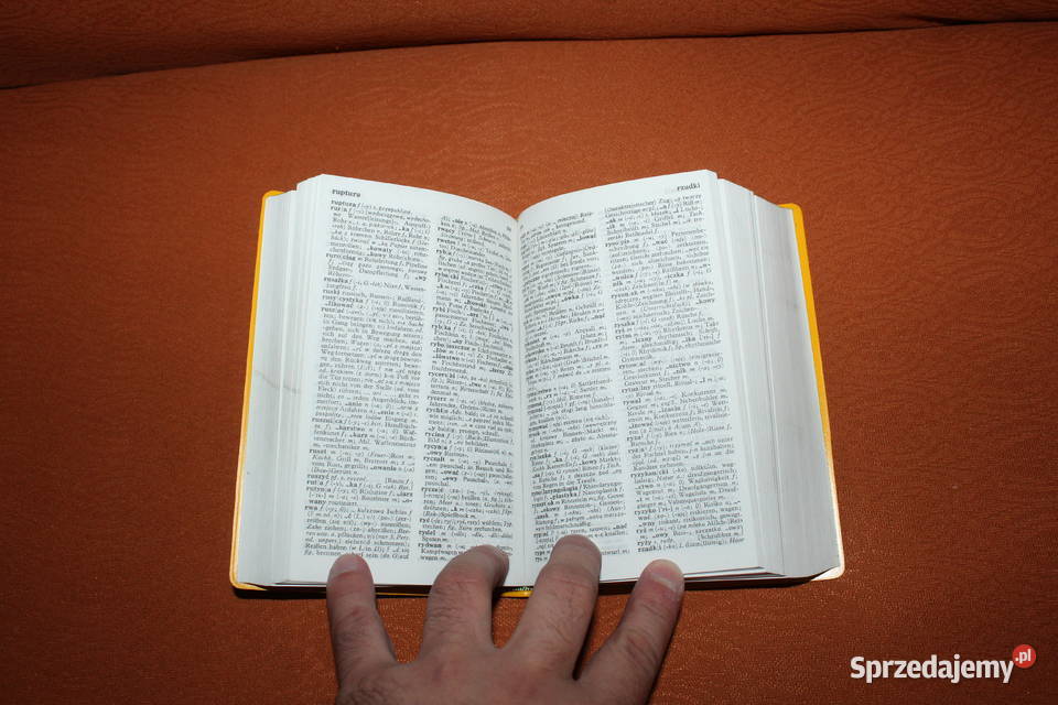 Langenscheidts Taschenwrterbuch Polnisch Chorzów