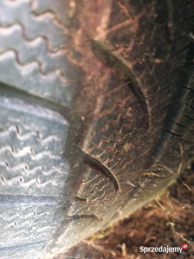 Alufelgi z oponami audi 2254517 lubelskie